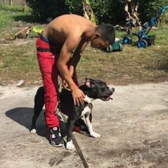 Meet your Posher, Juan - Picture 1 of 1